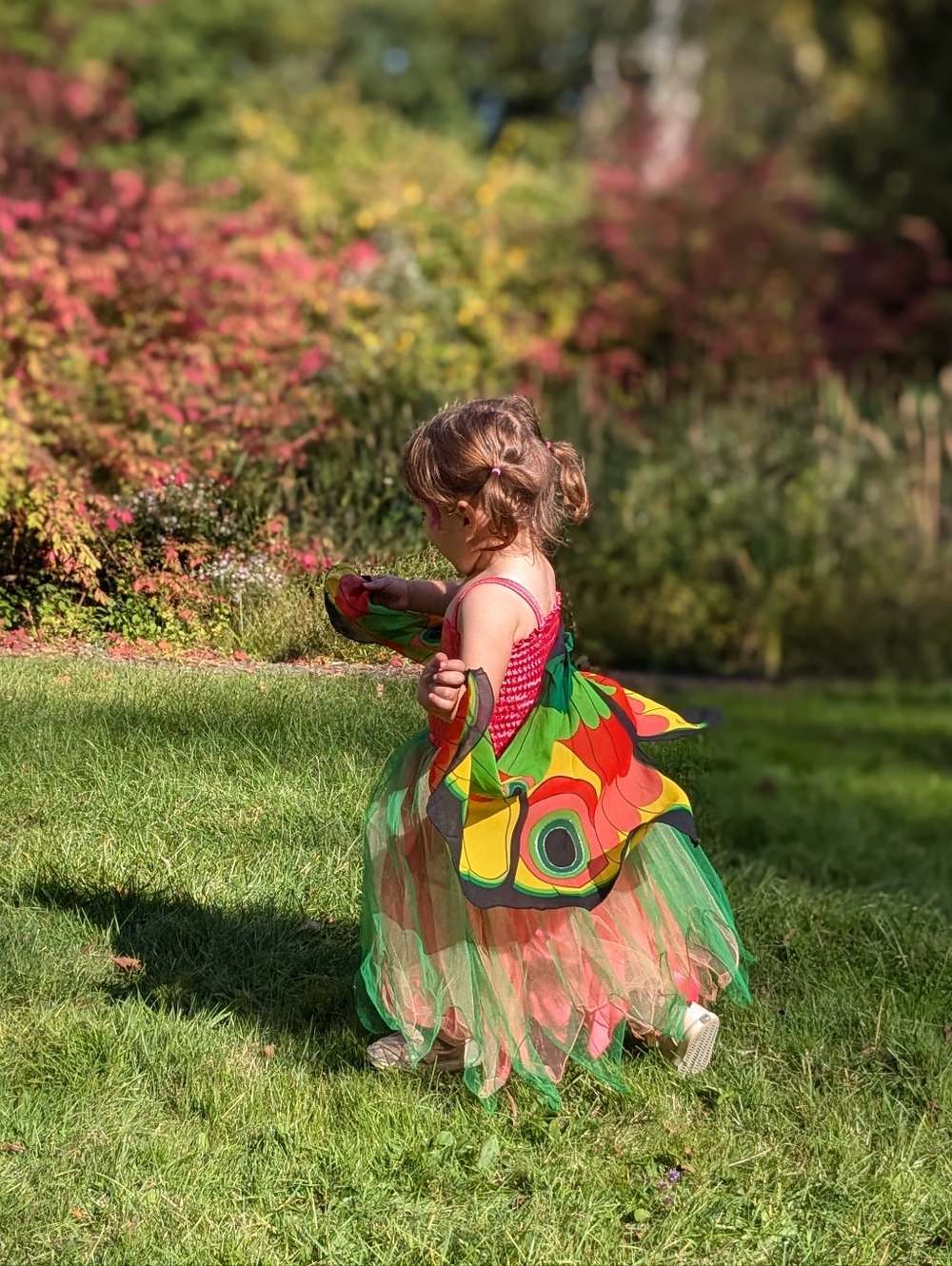 Pink Green Fairy Butterfly Dress With Wings 2-4T